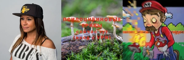 ПСИЛОЦИБИНОВЫЕ ГРИБЫ Елабуга
