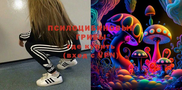 спайс Дмитров
