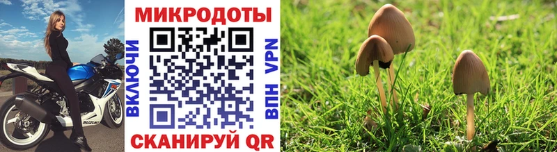 Галлюциногенные грибы GOLDEN TEACHER  купить закладку  Озёрск 